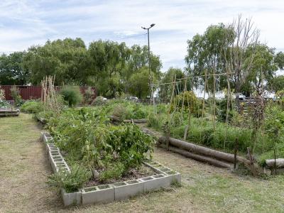 municipio de san isidro, integracion comunitaria, huerta agroecologica, semillas, plantas