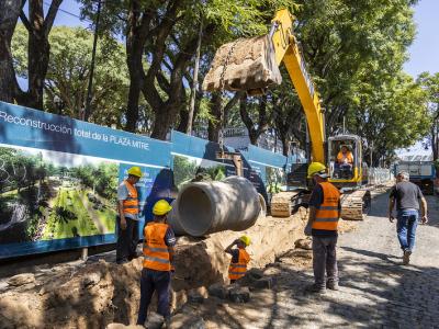 municipio de san isidro, plaza mitre, espacio publico, plaza, casco historico, arboles, arbol