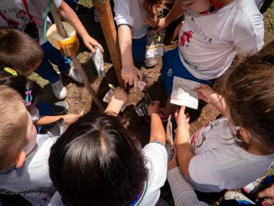 ALUMNOS DEL COLEGIO 20 DE JUNIO PLANTARON UN ÁRBOL ALUMNOS DEL COLEGIO 20 DE JUNIO PLANTARON UN ÁRBOL